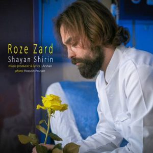 شایان شیرین – رز زرد